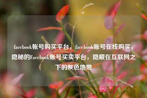 facebook帐号购买平台，facebook账号在线购买，隐秘的Facebook账号买卖平台，隐藏在互联网之下的灰色地带