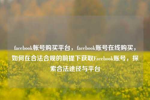 facebook帐号购买平台，facebook账号在线购买，如何在合法合规的前提下获取Facebook账号，探索合法途径与平台