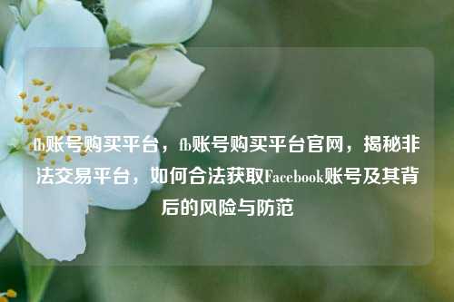 fb账号购买平台，fb账号购买平台官网，揭秘非法交易平台，如何合法获取Facebook账号及其背后的风险与防范