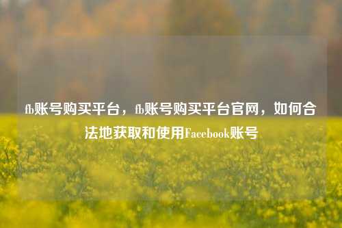 fb账号购买平台，fb账号购买平台官网，如何合法地获取和使用Facebook账号