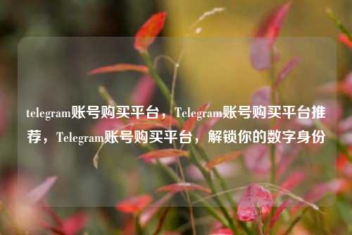 telegram账号购买平台，Telegram账号购买平台推荐，Telegram账号购买平台，解锁你的数字身份