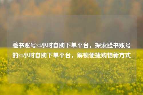 脸书账号24小时自助下单平台，探索脸书账号的24小时自助下单平台，解锁便捷购物新方式