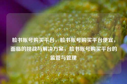 脸书账号购买平台，脸书账号购买平台便宜，面临的挑战与解决方案，脸书账号购买平台的监管与管理