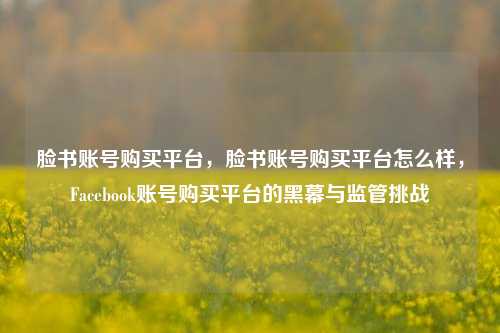 脸书账号购买平台，脸书账号购买平台怎么样，Facebook账号购买平台的黑幕与监管挑战