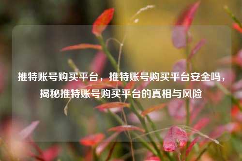 推特账号购买平台，推特账号购买平台安全吗，揭秘推特账号购买平台的真相与风险