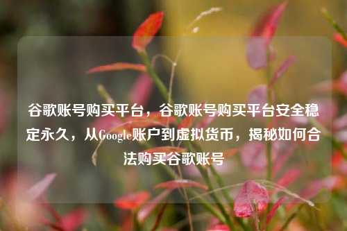 谷歌账号购买平台，谷歌账号购买平台安全稳定永久，从Google账户到虚拟货币，揭秘如何合法购买谷歌账号