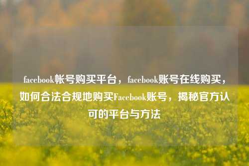 facebook帐号购买平台，facebook账号在线购买，如何合法合规地购买Facebook账号，揭秘官方认可的平台与方法