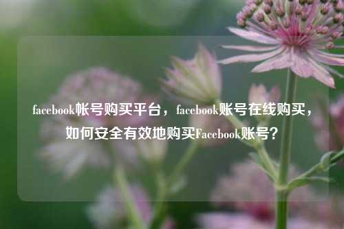 facebook帐号购买平台，facebook账号在线购买，如何安全有效地购买Facebook账号？