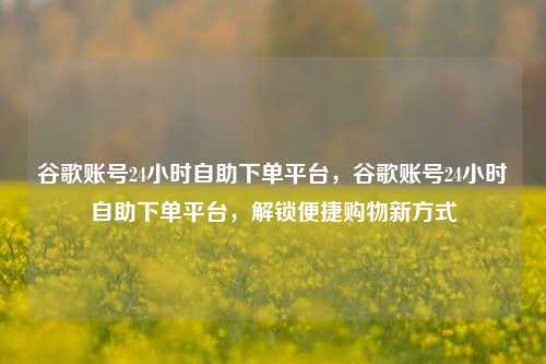 谷歌账号24小时自助下单平台，谷歌账号24小时自助下单平台，解锁便捷购物新方式