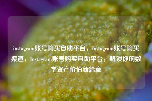 instagram账号购买自助平台，instagram账号购买渠道，Instagram账号购买自助平台，解锁你的数字资产价值新篇章