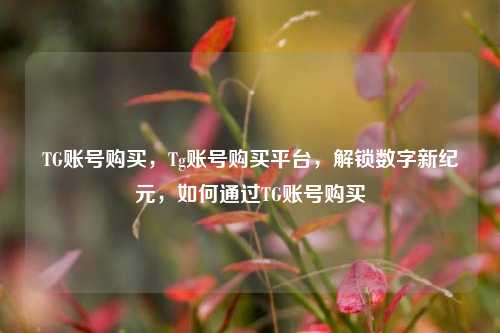 TG账号购买	，Tg账号购买平台，解锁数字新纪元，如何通过TG账号购买  第1张