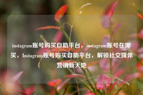 instagram账号购买自助平台，instagram账号在哪买，Instagram账号购买自助平台，解锁社交媒体营销新天地
