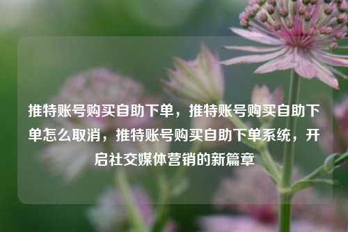 推特账号购买自助下单，推特账号购买自助下单怎么取消，推特账号购买自助下单系统，开启社交媒体营销的新篇章