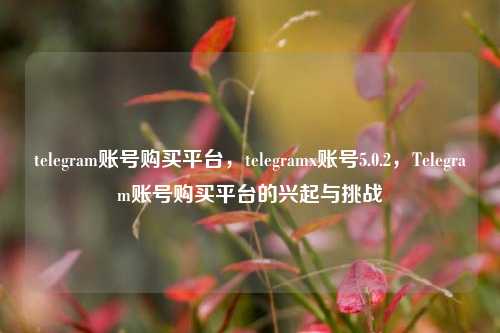telegram账号购买平台，telegramx账号5.0.2，Telegram账号购买平台的兴起与挑战