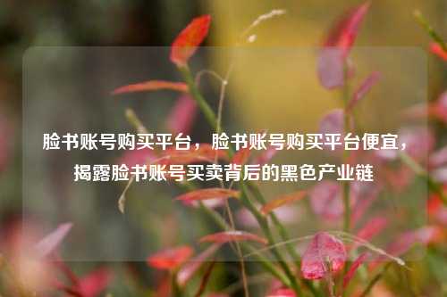 脸书账号购买平台，脸书账号购买平台便宜，揭露脸书账号买卖背后的黑色产业链