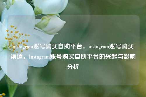 instagram账号购买自助平台，instagram账号购买渠道，Instagram账号购买自助平台的兴起与影响分析
