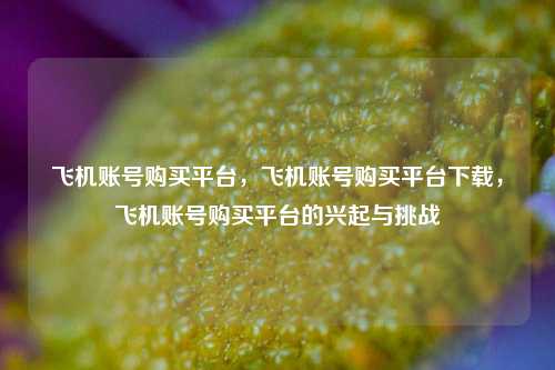 飞机账号购买平台，飞机账号购买平台下载，飞机账号购买平台的兴起与挑战