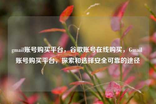 gmail账号购买平台，谷歌账号在线购买，Gmail 账号购买平台，探索和选择安全可靠的途径