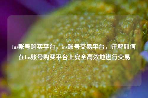 ins账号购买平台，ins账号交易平台，详解如何在Ins账号购买平台上安全高效地进行交易
