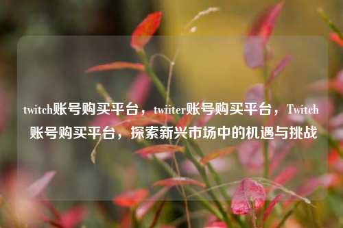 twitch账号购买平台，twiiter账号购买平台，Twitch 账号购买平台，探索新兴市场中的机遇与挑战