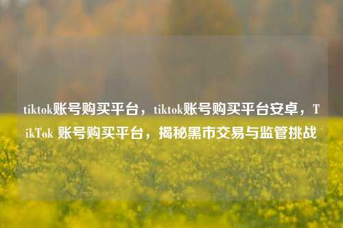 tiktok账号购买平台，tiktok账号购买平台安卓，TikTok 账号购买平台，揭秘黑市交易与监管挑战