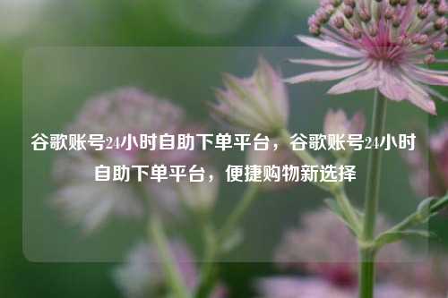 谷歌账号24小时自助下单平台，谷歌账号24小时自助下单平台，便捷购物新选择
