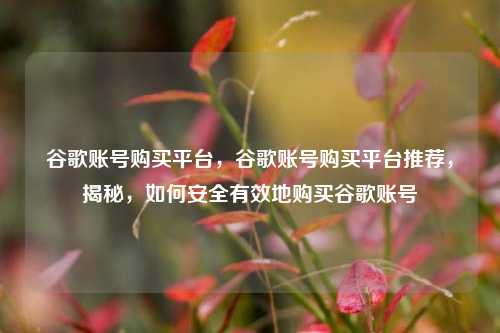 谷歌账号购买平台，谷歌账号购买平台推荐，揭秘，如何安全有效地购买谷歌账号