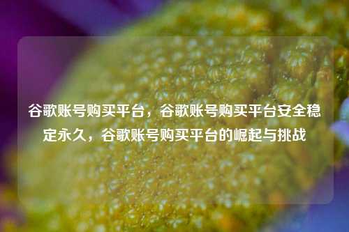 谷歌账号购买平台，谷歌账号购买平台安全稳定永久，谷歌账号购买平台的崛起与挑战