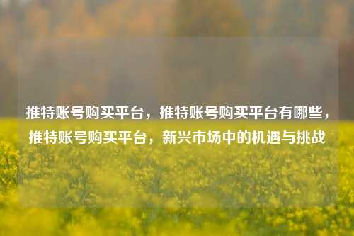 推特账号购买平台，推特账号购买平台有哪些，推特账号购买平台，新兴市场中的机遇与挑战