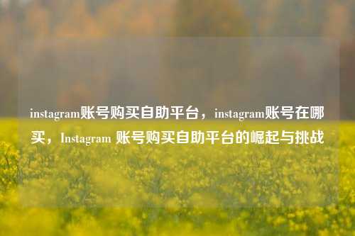instagram账号购买自助平台，instagram账号在哪买，Instagram 账号购买自助平台的崛起与挑战