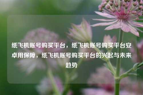 纸飞机账号购买平台，纸飞机账号购买平台安卓用保障，纸飞机账号购买平台的兴起与未来趋势