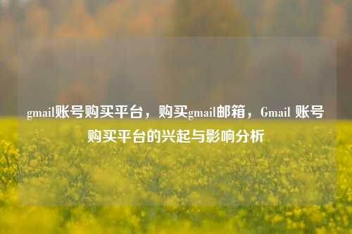 gmail账号购买平台，购买gmail邮箱，Gmail 账号购买平台的兴起与影响分析