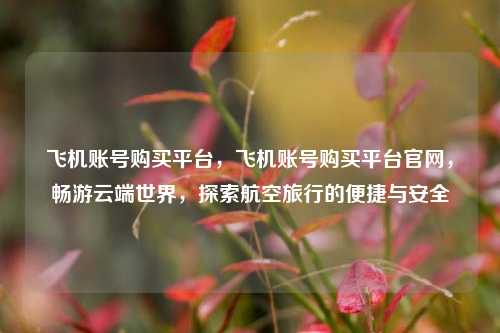 飞机账号购买平台，飞机账号购买平台官网，畅游云端世界，探索航空旅行的便捷与安全