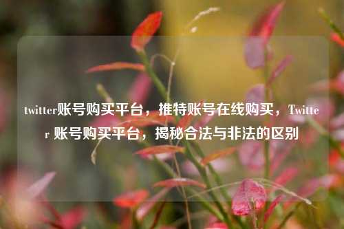 twitter账号购买平台，推特账号在线购买，Twitter 账号购买平台，揭秘合法与非法的区别