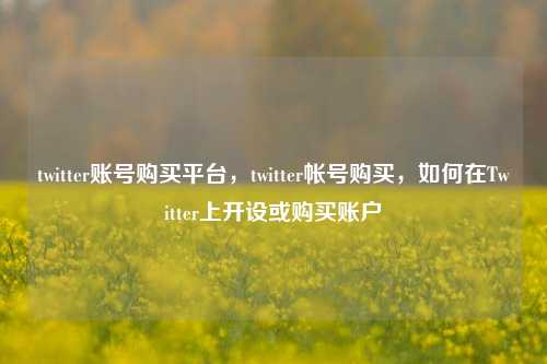 twitter账号购买平台，twitter帐号购买，如何在Twitter上开设或购买账户