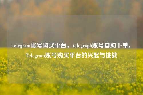 telegram账号购买平台，telegraph账号自助下单，Telegram账号购买平台的兴起与挑战