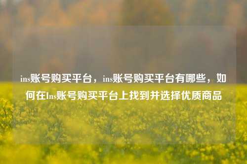 ins账号购买平台，ins账号购买平台有哪些，如何在Ins账号购买平台上找到并选择优质商品
