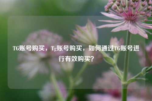TG账号购买，Tg账号购买，如何通过TG账号进行有效购买？