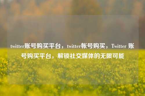 twitter账号购买平台，twitter帐号购买，Twitter 账号购买平台，解锁社交媒体的无限可能