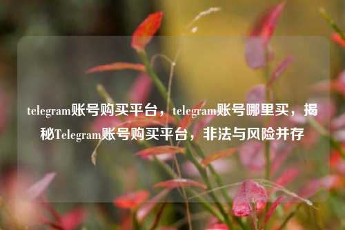 telegram账号购买平台，telegram账号哪里买，揭秘Telegram账号购买平台，非法与风险并存