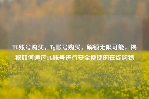 TG账号购买，Tg账号购买，解锁无限可能，揭秘如何通过TG账号进行安全便捷的在线购物