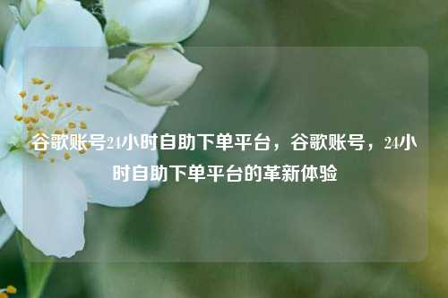 谷歌账号24小时自助下单平台，谷歌账号，24小时自助下单平台的革新体验