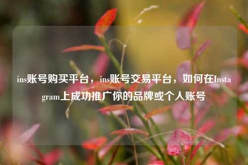 ins账号购买平台，ins账号交易平台，如何在Instagram上成功推广你的品牌或个人账号