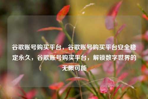谷歌账号购买平台，谷歌账号购买平台安全稳定永久，谷歌账号购买平台，解锁数字世界的无限可能