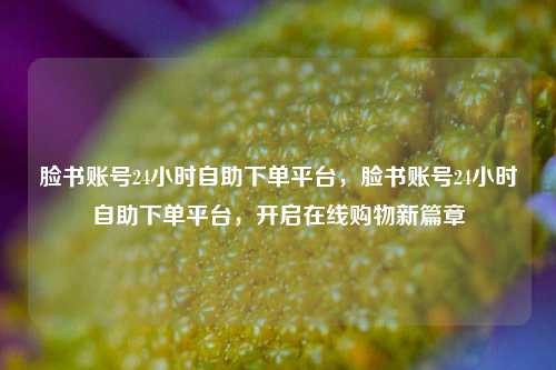 脸书账号24小时自助下单平台，脸书账号24小时自助下单平台，开启在线购物新篇章