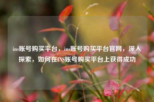 ins账号购买平台，ins账号购买平台官网，深入探索，如何在INS账号购买平台上获得成功