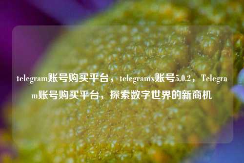 telegram账号购买平台，telegramx账号5.0.2，Telegram账号购买平台，探索数字世界的新商机