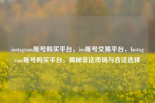 instagram账号购买平台，ins账号交易平台，Instagram账号购买平台，揭秘非法市场与合法选择