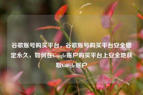 谷歌账号购买平台，谷歌账号购买平台安全稳定永久，如何在Google账户购买平台上安全地获取Google账户
