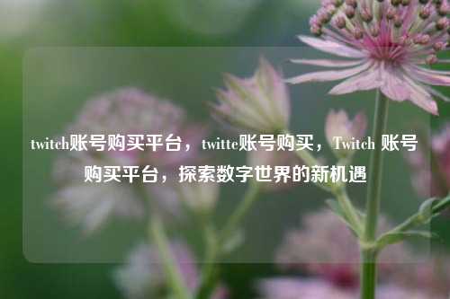 twitch账号购买平台，twitte账号购买	，Twitch 账号购买平台，探索数字世界的新机遇  第1张